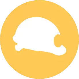 PPE